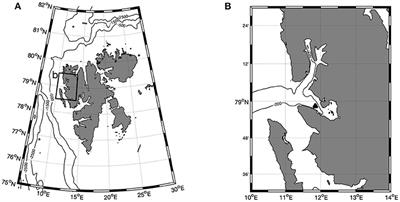 Eat or Sleep: Availability of Winter Prey Explains Mid-Winter and Spring Activity in an Arctic Calanus Population